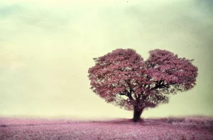 Hot Roze hartvormige boom fotobehang Bloemen