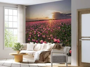 New Roze klaprozenveld bij zonsondergang fotobehang Bloemen
