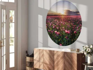 New Roze klaprozenveld bij zonsondergang fotobehang Bloemen