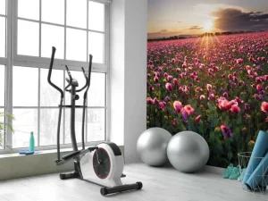 New Roze klaprozenveld bij zonsondergang fotobehang Bloemen