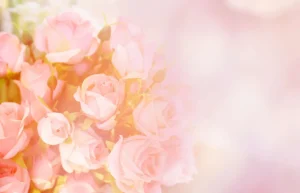 Fashion Roze rozen boeket met een wazige achtergrond fotobehang Tienerkamer | Bloemen