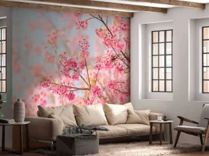 Hot Sakura Bloem fotobehang Bloemen