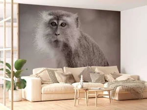 Outlet Schattig aapje in zwart-wit fotobehang Hobbykamer | Dieren