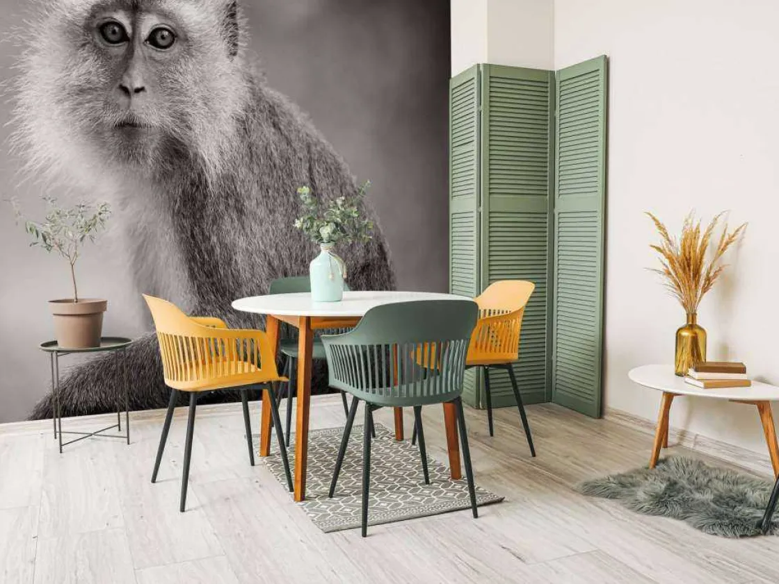 schattig_aapje_in_zwartwi_3.webp Outlet Schattig aapje in zwart-wit fotobehang Hobbykamer | Dieren