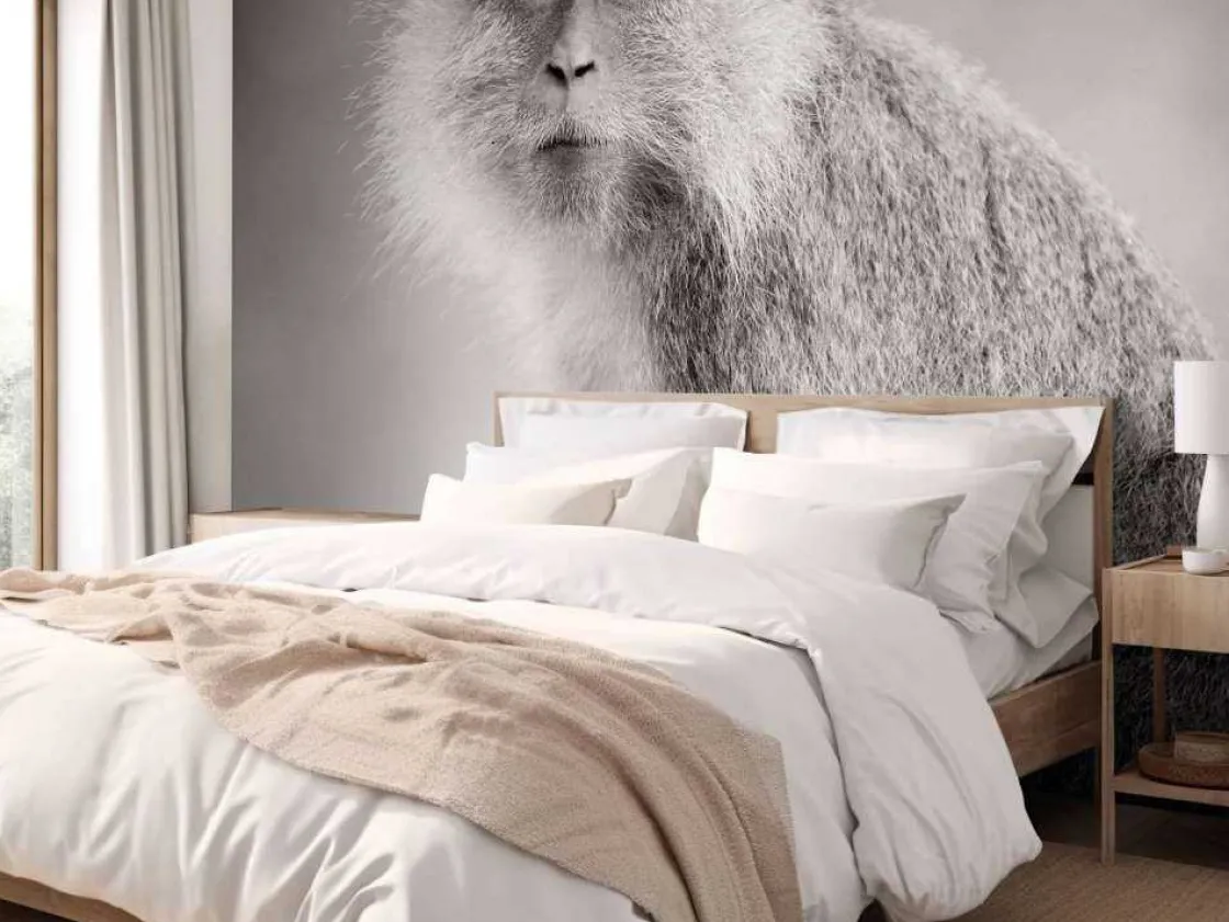 schattig_aapje_in_zwartwi_9.webp Outlet Schattig aapje in zwart-wit fotobehang Hobbykamer | Dieren