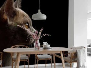 Online Schattig katje met een zwarte achtergrond fotobehang Dieren