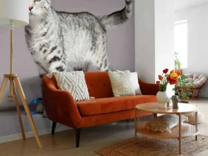 Sale Schattig lichtkleurig katje fotobehang Kinderkamer | Dieren
