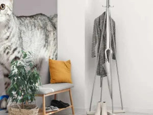Sale Schattig lichtkleurig katje fotobehang Kinderkamer | Dieren