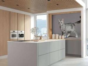 Sale Schattig lichtkleurig katje fotobehang Kinderkamer | Dieren
