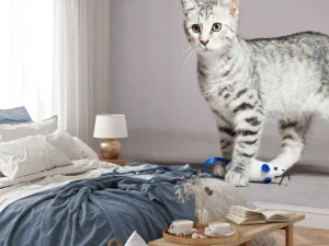 Sale Schattig lichtkleurig katje fotobehang Kinderkamer | Dieren