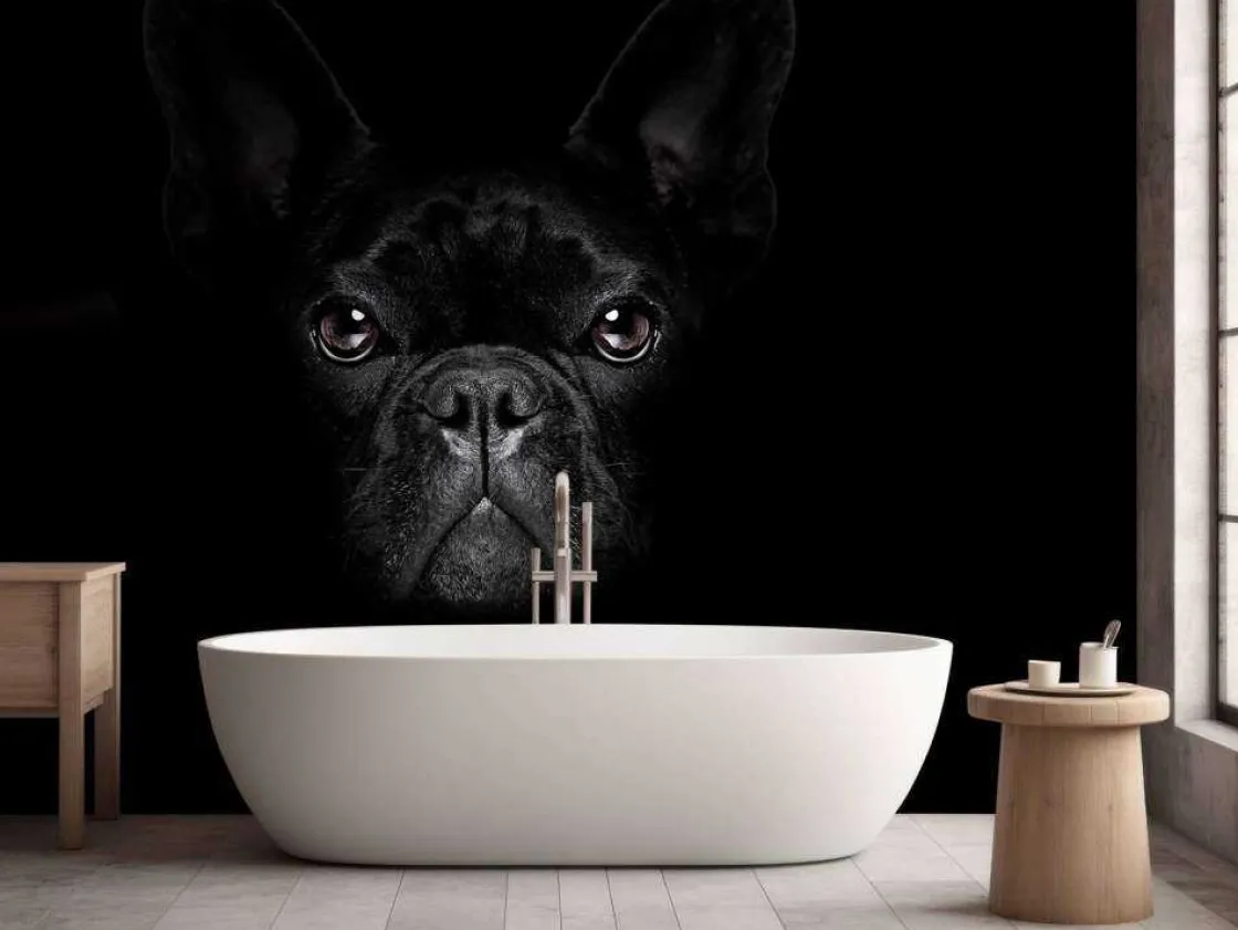 schattige_bulldog_met_een_8.webp Outlet Schattige bulldog met een zwarte achtergrond fotobehang Tienerkamer | Dieren