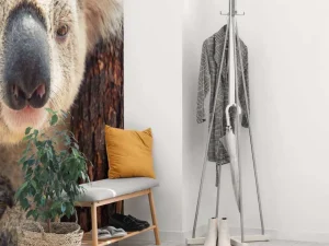 Hot Schattige koala fotobehang Kinderkamer | Dieren