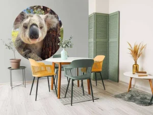 Hot Schattige koala fotobehang Kinderkamer | Dieren