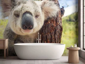 Hot Schattige koala fotobehang Kinderkamer | Dieren
