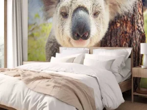Hot Schattige koala fotobehang Kinderkamer | Dieren