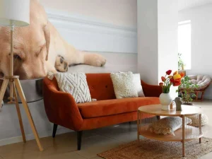 Outlet Schattige labrador is aan het eten fotobehang Dieren