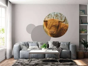 Outlet Schotse Hooglander bij zonsopkomst fotobehang Dieren