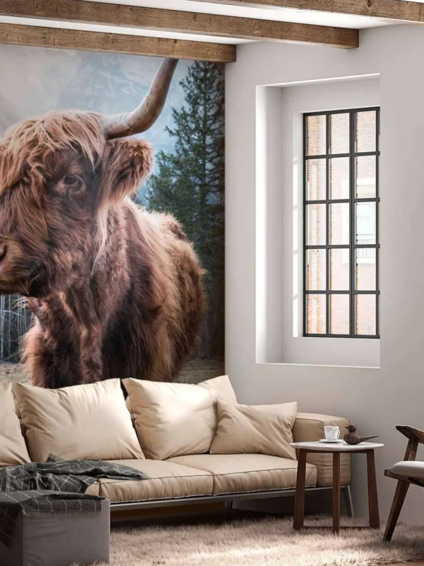 Discount Schotse Hooglander in de ochtend fotobehang Dieren