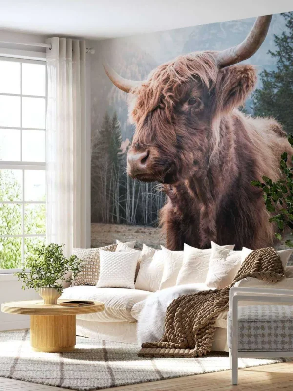 Discount Schotse Hooglander in de ochtend fotobehang Dieren