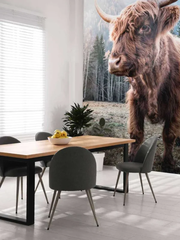 Discount Schotse Hooglander in de ochtend fotobehang Dieren
