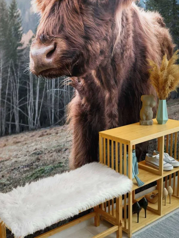 Discount Schotse Hooglander in de ochtend fotobehang Dieren