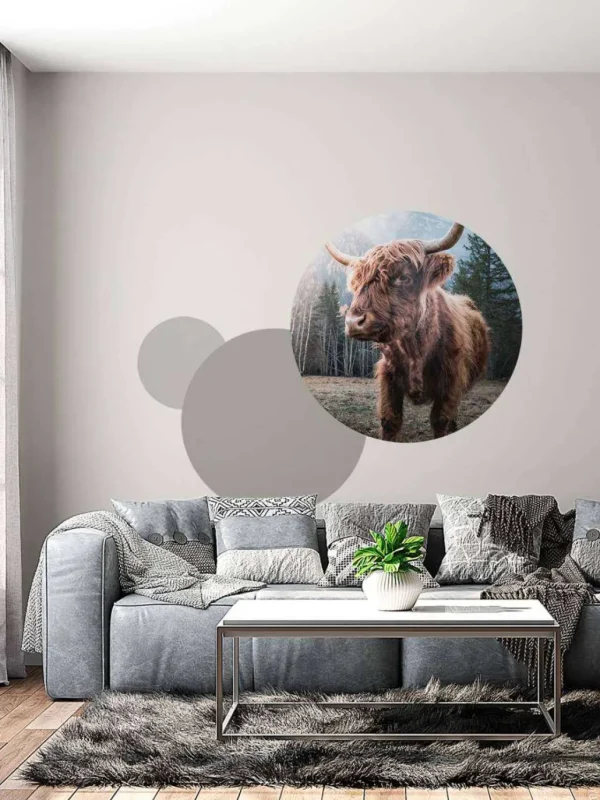 Discount Schotse Hooglander in de ochtend fotobehang Dieren
