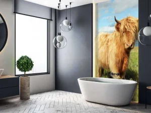New Schotse Hooglander in de natuur fotobehang Dieren