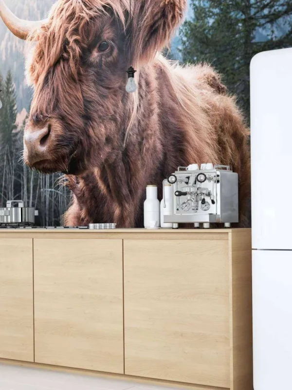 Discount Schotse Hooglander in de ochtend fotobehang Dieren