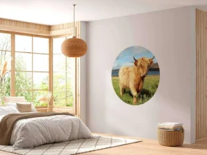 New Schotse Hooglander in de natuur fotobehang Dieren