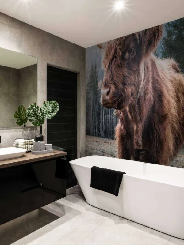 Discount Schotse Hooglander in de ochtend fotobehang Dieren
