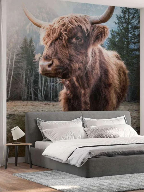 Discount Schotse Hooglander in de ochtend fotobehang Dieren