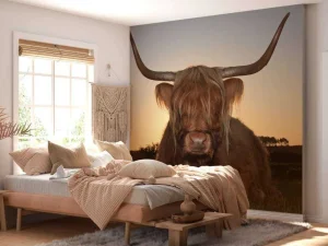 Clearance Schotse Hooglander in het gras bij zonsondergang fotobehang Dieren