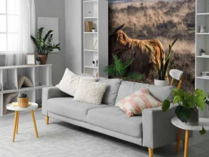 Clearance Schotse Hooglander in het wild fotobehang Dieren