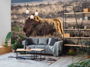 Clearance Schotse Hooglander in het wild fotobehang Dieren