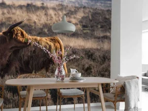 Clearance Schotse Hooglander in het wild fotobehang Dieren