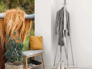 Online Schotse Hooglander in het veld fotobehang Dieren