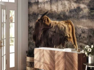 Clearance Schotse Hooglander in het wild fotobehang Dieren