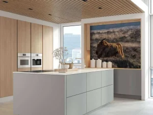 Clearance Schotse Hooglander in het wild fotobehang Dieren