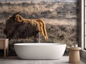 Hot Schotse hooglander in het wild fotobehang Dieren
