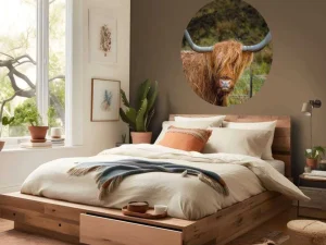 Online Schotse Hooglander in het veld fotobehang Dieren