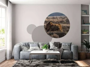 Clearance Schotse Hooglander in het wild fotobehang Dieren