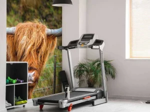 Online Schotse Hooglander in het veld fotobehang Dieren