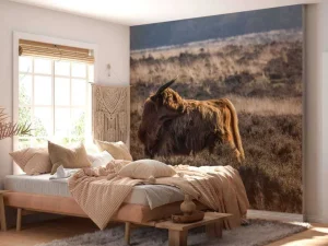 Clearance Schotse Hooglander in het wild fotobehang Dieren
