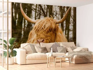 Best Schotse Hooglander met Bomen op achtergrond fotobehang Dieren