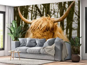 Best Schotse Hooglander met Bomen op achtergrond fotobehang Dieren