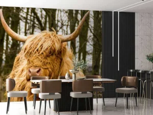 Best Schotse Hooglander met Bomen op achtergrond fotobehang Dieren