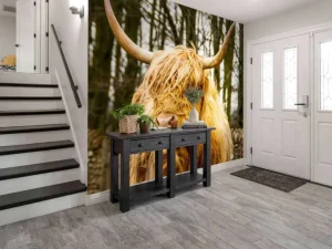 Best Schotse Hooglander met Bomen op achtergrond fotobehang Dieren