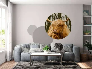 Best Schotse Hooglander met Bomen op achtergrond fotobehang Dieren