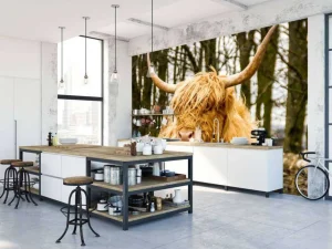 Best Schotse Hooglander met Bomen op achtergrond fotobehang Dieren