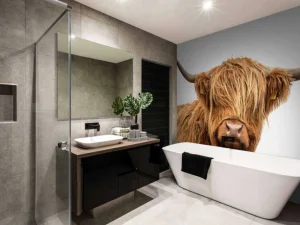 Hot Schotse Hooglander met een witte achtergrond fotobehang Dieren